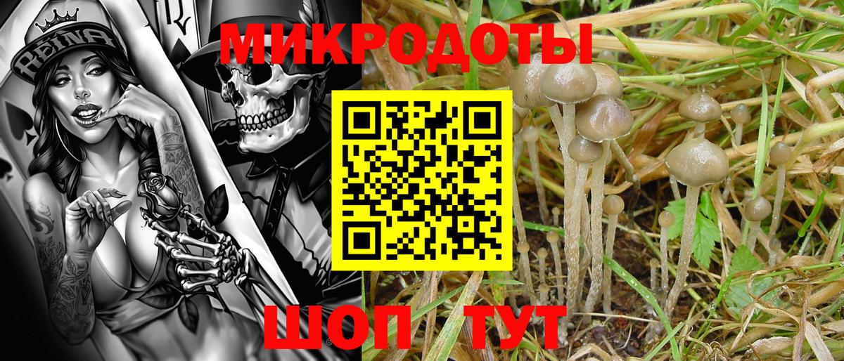 Киреевск  Псилоцибиновые грибы MAGIC MUSHROOMS  Вход с VPN 