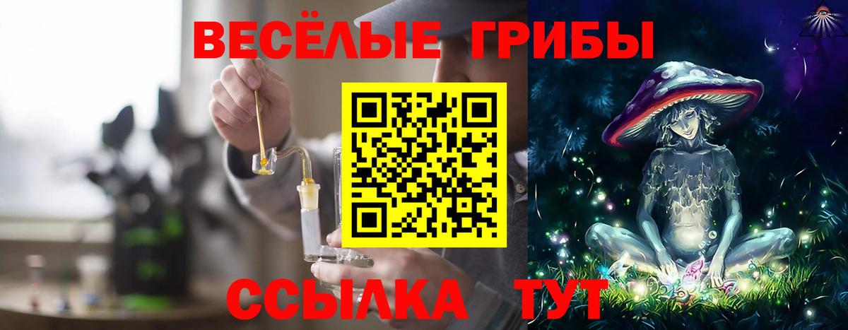 Псилоцибиновые грибы мицелий Киреевск